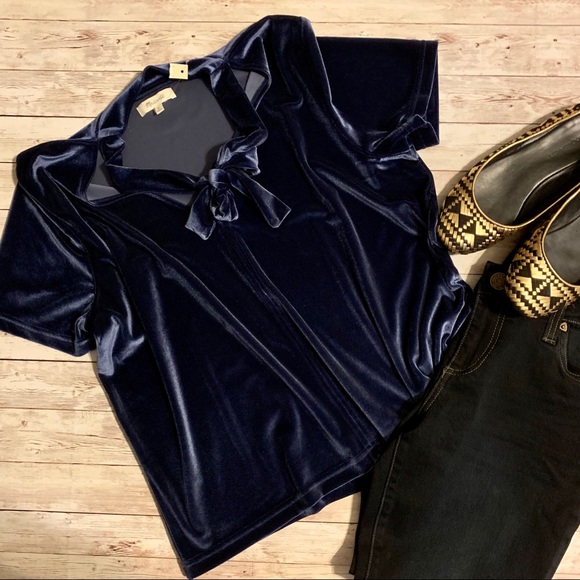 Madewell Tops - Madewell Blue Velvet Tie Neck Short Sleeve T-Shirt
